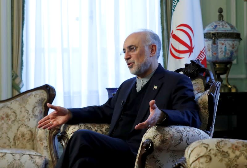 Iran's nuclear chief Ali Akbar Salehi speaks to Reuters during an interview in Brussels