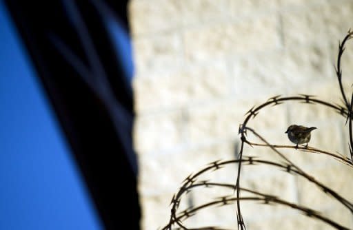 A bird rests on concertina wire outside the 'Camp Six' detention facility in Guantanamo Bay, Cuba. The US government published for the first time Friday a list of 55 Guantanamo detainees cleared for release but still held amid challenges identifying a willing host country or concerns about sending them home