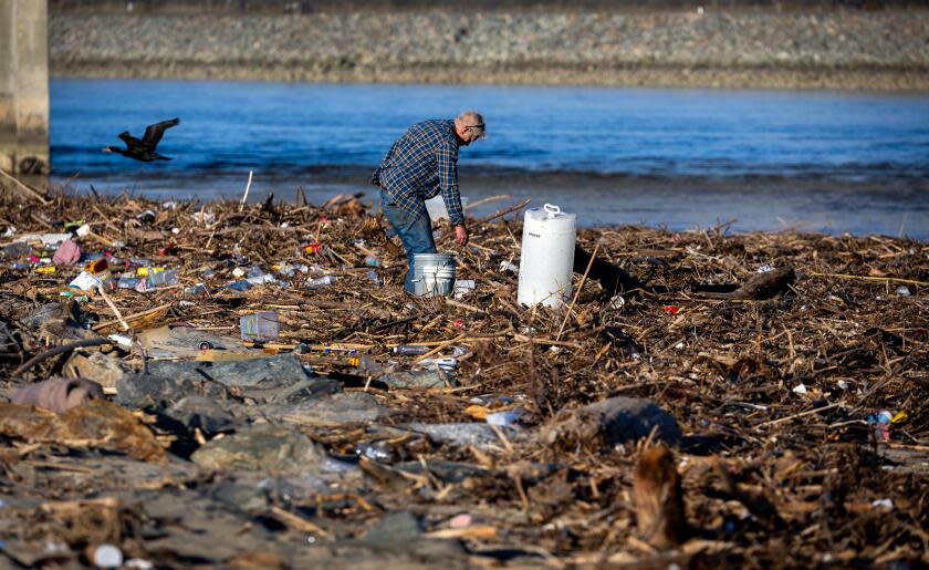 Huntington Beach, CA - February 21: Following heavy rain in recent days, Sam Hale, of Garden Grove, searches storm runoff debris on the banks of the Santa Ana River for driftwood to use for landscaping in Huntington Beach Wednesday, Feb. 21, 2024. Hale says he also cleans up the beach throughout the year. (Allen J. Schaben / Los Angeles Times)