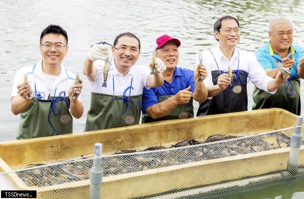 國民黨總統參選人侯友宜（左二）體驗抓泰國蝦。（記者陳真攝）