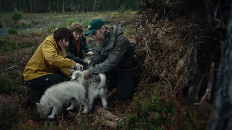 Emma (Ida Elise Broch) und ihr Vater Marius (Magnus Krepper) suchen mit Leo (Viljar Knutsen Bjaadal) die Wolfswelpen, um sie mit Transpondern auszustatten. (Bild: © Viaplay)