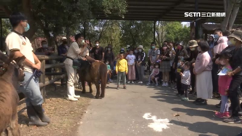 台南頑皮世界透過互動解說活動，讓小朋友輕鬆吸收動物知識。