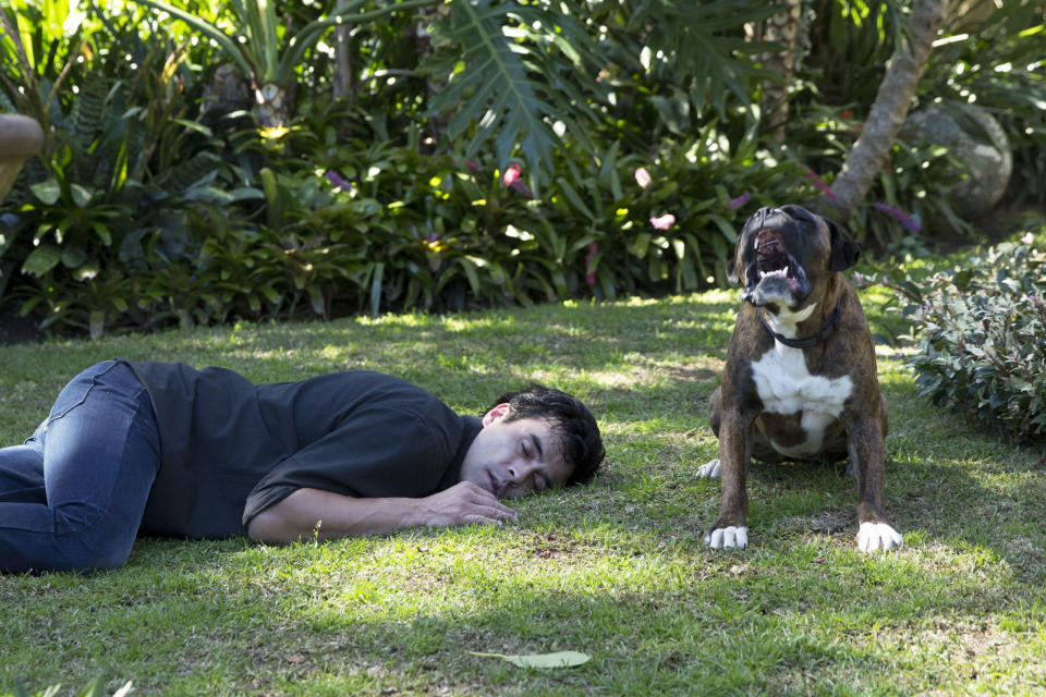 Monday, March 27: Buddy the Dog raises the alarm that Justin is in trouble