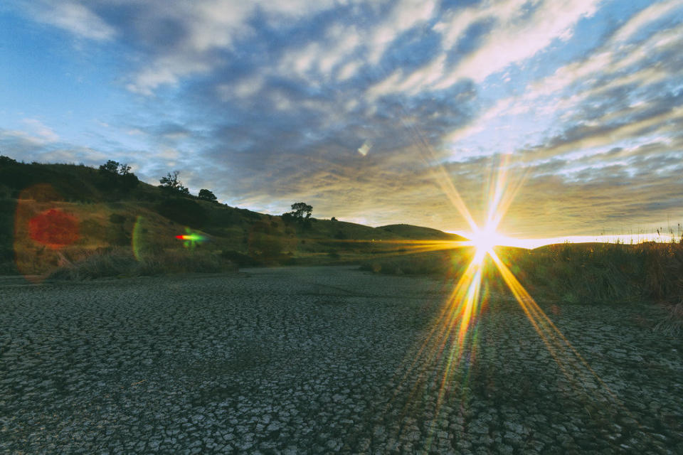 Coyote Hills RP, Fremont, CA July 23, 2014