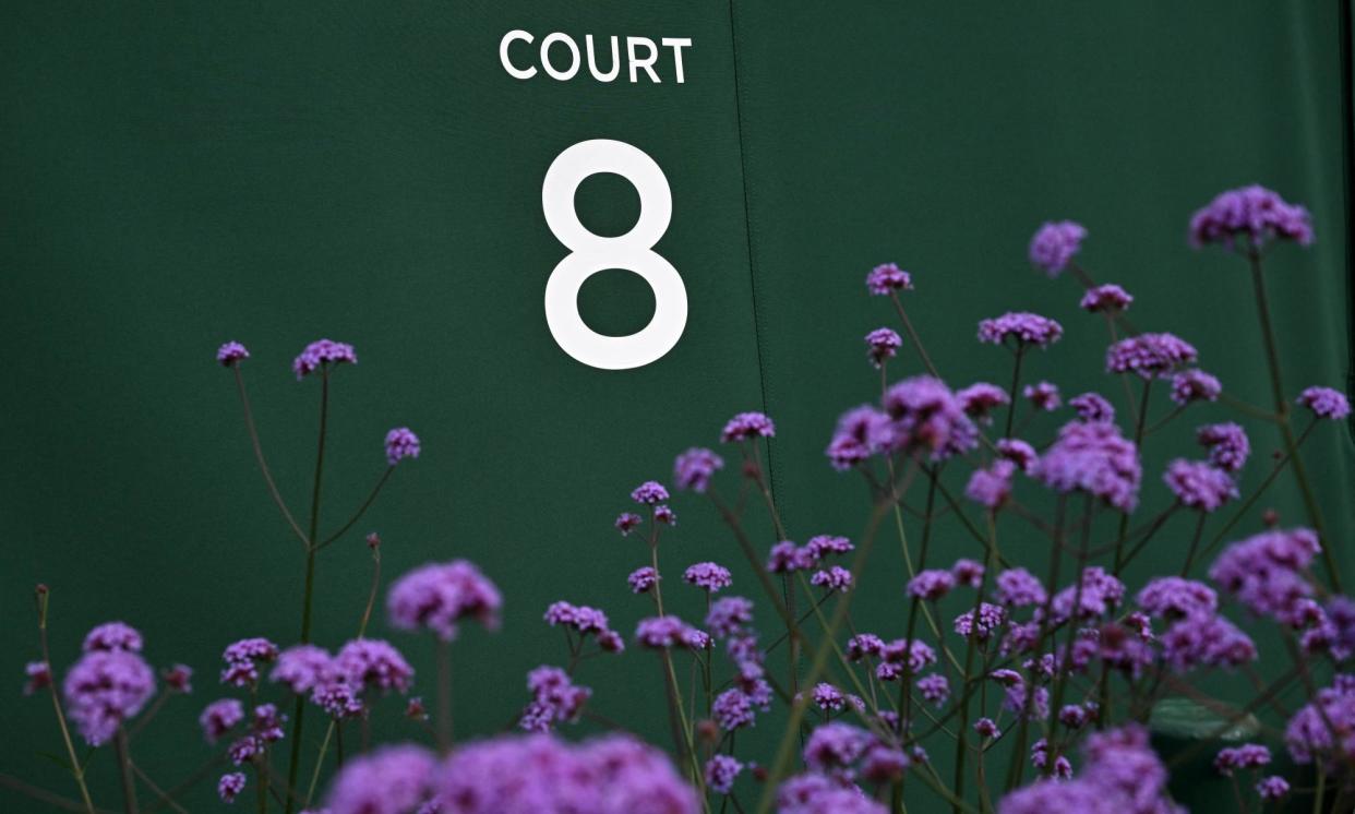<span>Flowering verbena grow near court 8 on the second day of the 2024 Wimbledon championships.</span><span>Photograph: Glyn Kirk/AFP/Getty</span>