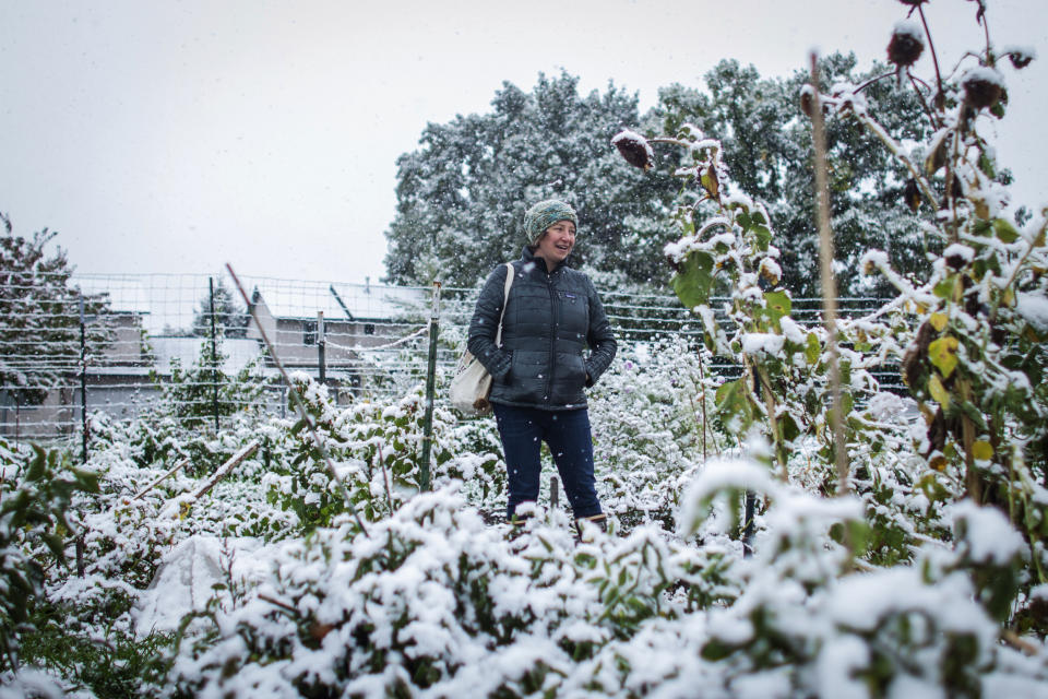 Garden City Harvest grower Brihannala Morgan gazes over her five-row plot after harvesting the last of what she could from the plants in snow that hit Missoula, Mont., Sunday, Sept. 29, 2019. Morgan got the last of her tomatoes and peppers, hoping they will ripen off the vine at home rather than freeze in the garden. (Sara Diggins/The Missoulian via AP)