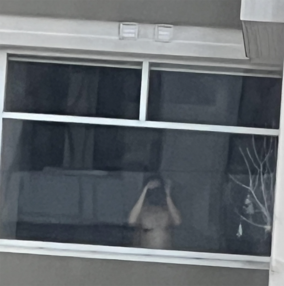 The shirtless neighbour with binoculars outside the window. 