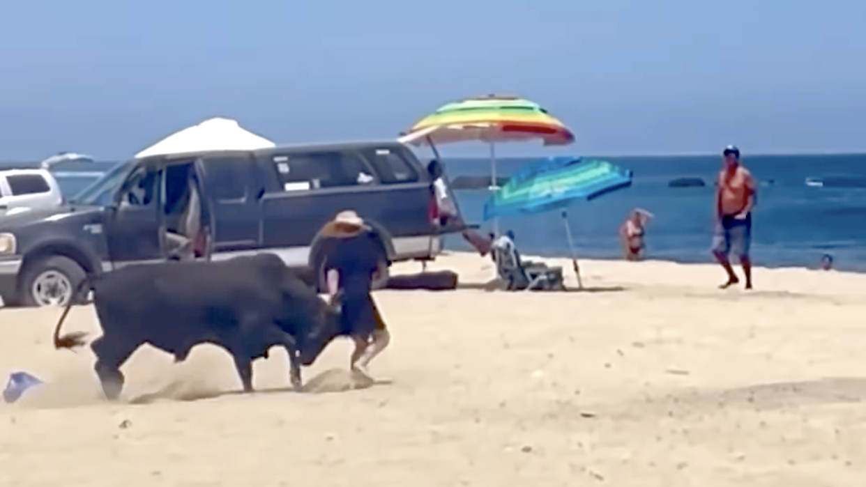  Bull attacks tourist on Mexican beach. 
