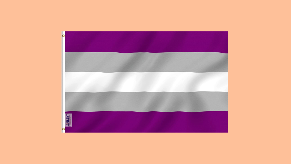Gray-asexual flag