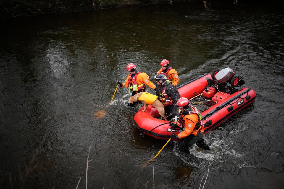 A search dog and firefighters search the River Wyre for Bulley (Getty)