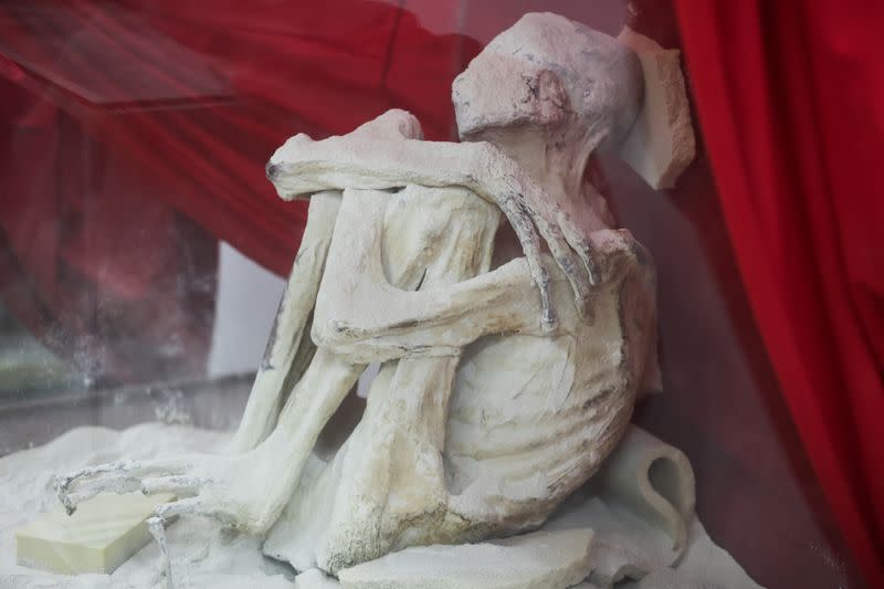 Alien fever dreams fuel Peruvian grave robbings