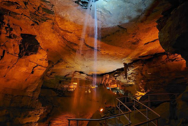 <p>Courtesy of Mammoth Cave National Park</p>