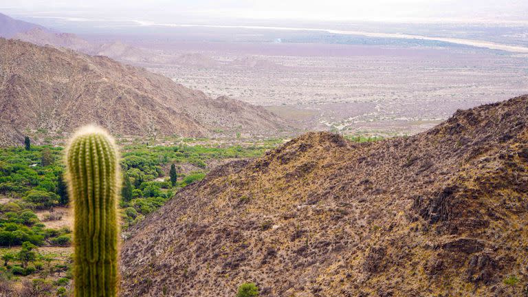 Senderismo: el camino a la antigua mina de Talapazo, un recorrido de 4 kilómetros con guía local