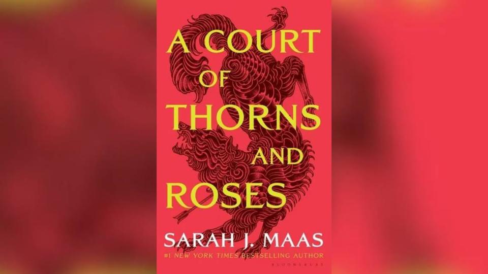 “A Court of Thorns and Roses’ is a popular fantasy romance series. Mary Dimitrov