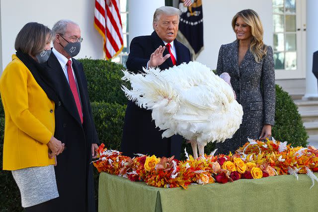 Chip Somodevilla/Getty Donald Trump and a turkey