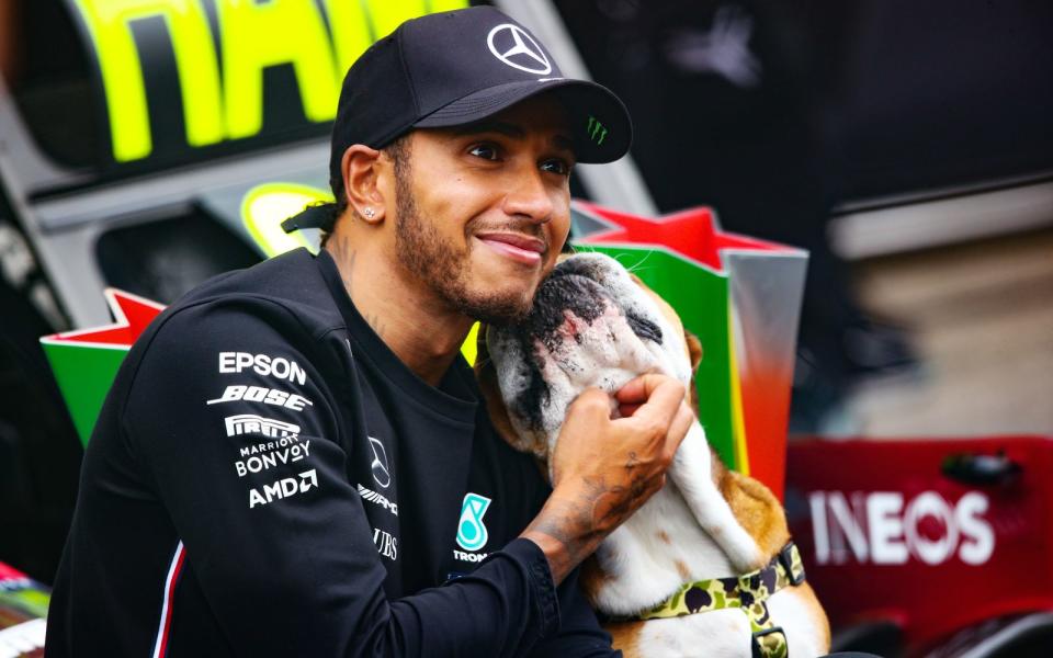 Er liebt Tiere - und nicht nur seinen Hund Roscoe: Formel-1-Weltmeister Lewis Hamilton ist überzeugter Veganer. Vor gut drei Jahren stellte er seine Ernährung um und isst seitdem keine tierischen Produkte mehr. Kein Wunder, dass die Tierrechtsorganisation PETA ihn 2018 zur Persönlichkeit des Jahres erklärte. (Bild: Joe Portlock/Getty Images)