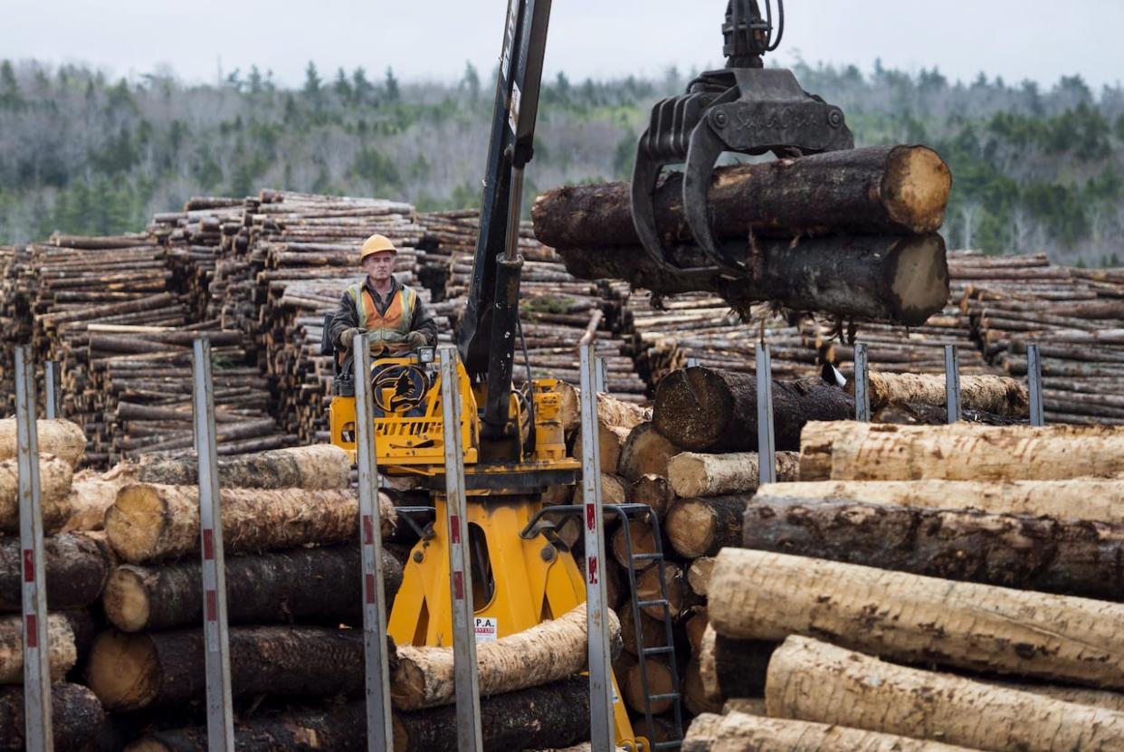 An employee loads logs at Ledwidge Lumber Co. in Halifax in 2017 to be shipped to pulp and paper mills for processing. This week, the company that owns the paper mill in Terrace Bay, Ont., announced it would be shut down indefinitely.   (Darren Calabrese/Canadian Press - image credit)