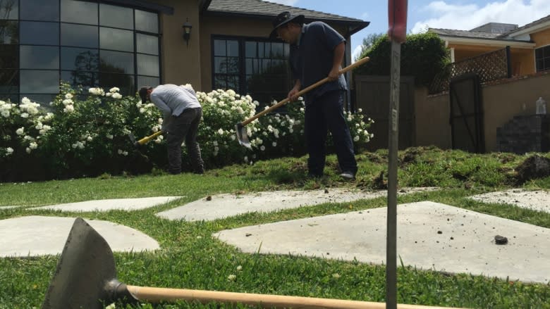 Drought-stricken Californians turfing their turf for cash