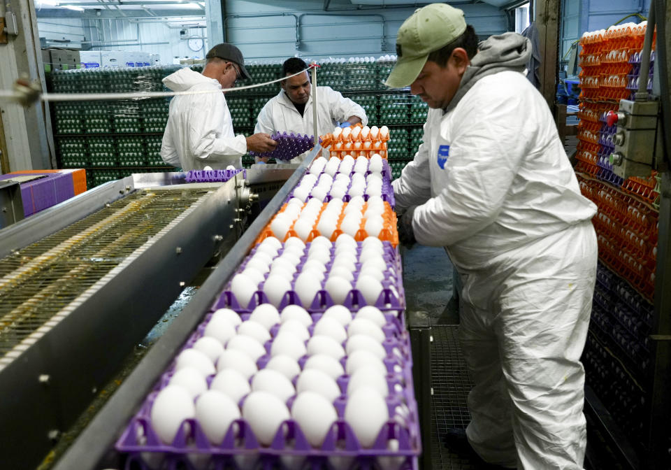 A worker moves crates of eggs at the Sunrise Farms processing plant in Petaluma, Calif., on Thursday, Jan. 11, 2024, which has seen an outbreak of avian flu in recent weeks. A year after the bird flu led to record egg prices and widespread shortages, the disease known as highly pathogenic avian influenza is wreaking havoc in California, which escaped the earlier wave of outbreaks that that devastated poultry farms in the Midwest. (AP Photo/Terry Chea)