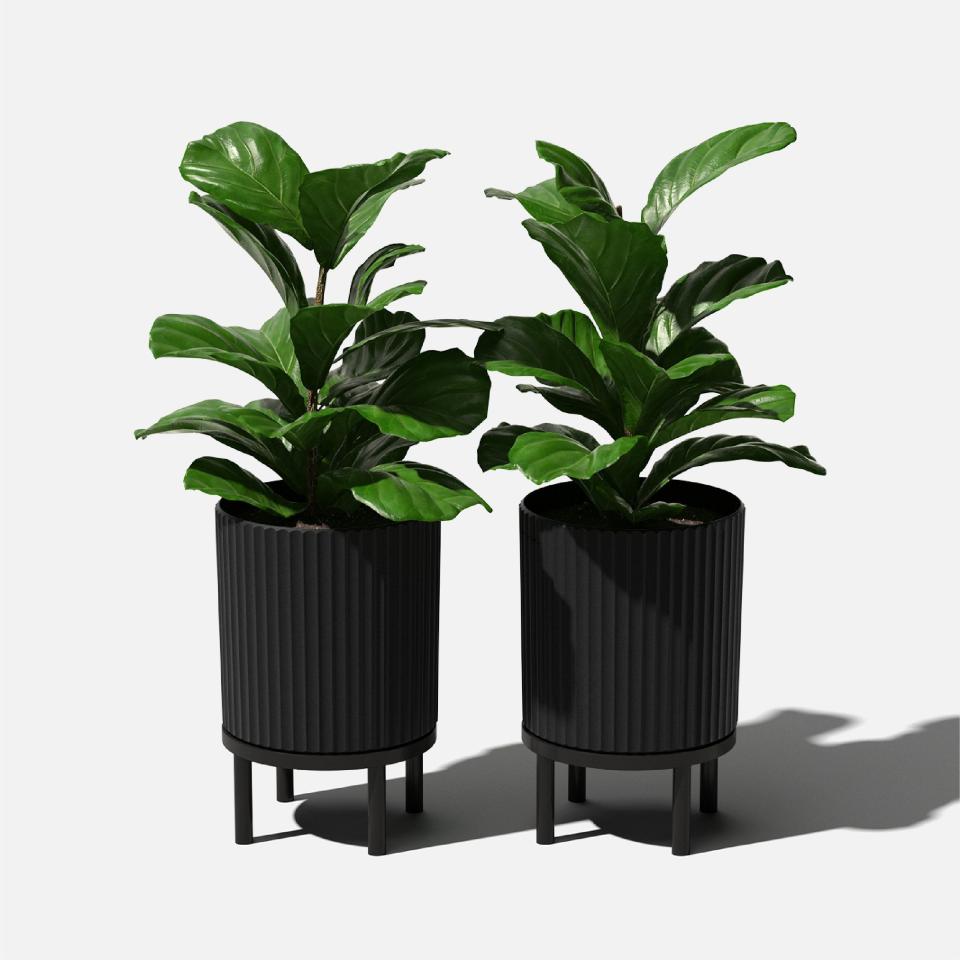 <p><a href="https://go.redirectingat.com?id=74968X1596630&url=https%3A%2F%2Fwww.jossandmain.com%2Foutdoor%2Fpdp%2Fdemi-series-planter-with-stand-ubgk1287.html&sref=https%3A%2F%2Fwww.countryliving.com%2Fshopping%2Fa60687221%2Fwayfair-way-day-sales-deals-2024%2F" rel="nofollow noopener" target="_blank" data-ylk="slk:Shop Now;elm:context_link;itc:0;sec:content-canvas" class="link ">Shop Now</a></p><p>Planter with Stand</p><p>jossandmain.com</p><p>$50.00</p>