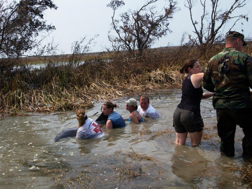 Several people hold a dolphin stranded in a ditch after Hurricane Rita in Louisiana