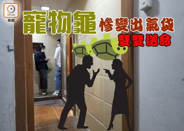 男子與前度女友爭執，2隻龜遭摔地喪命。(郭垂垂攝)