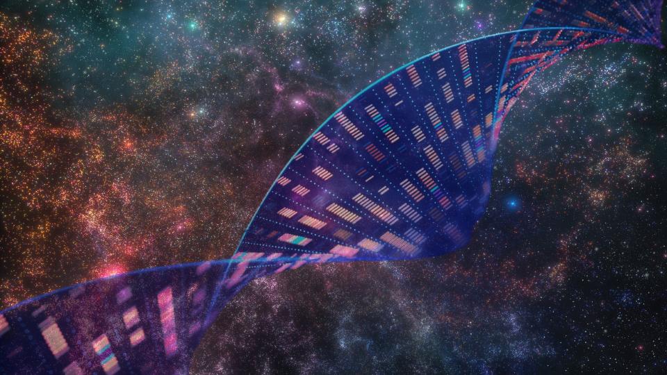     A twisted DNA ladder against a backdrop of space. 