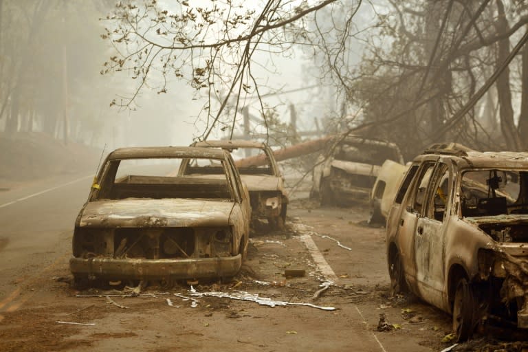 Burnt vehicles litter the a road in Paradise, California after flames from the Camp Fire tore through the area