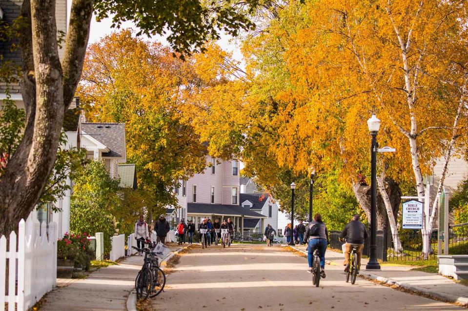 <p>Courtesy of Mackinac Island Tourism Bureau</p> Fall colored trees lining the street in Mackinac Island