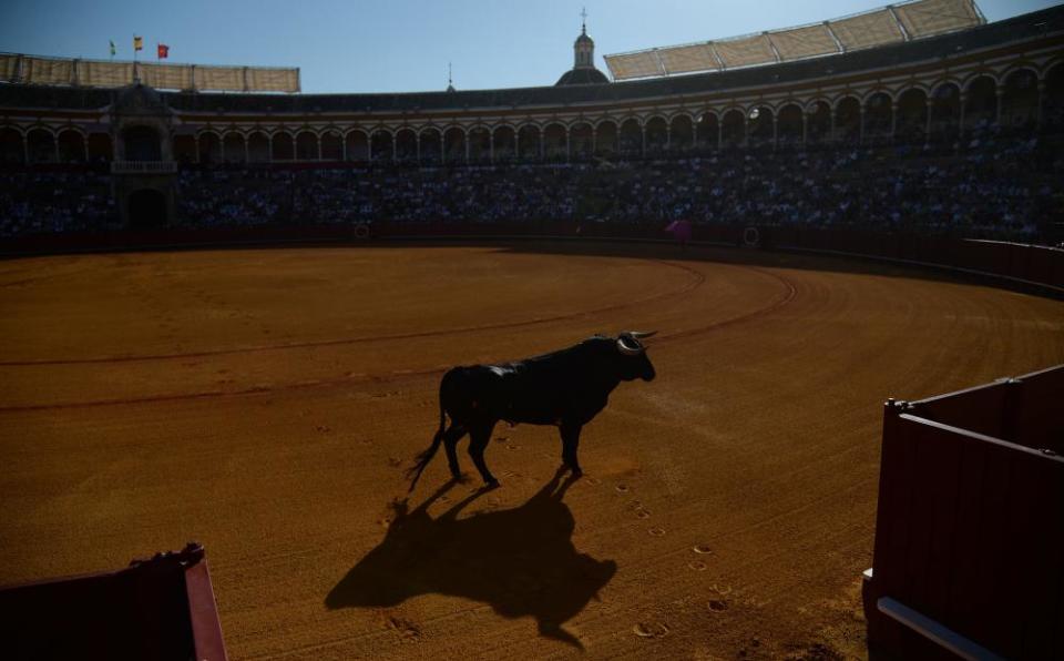 the Seville bullring.