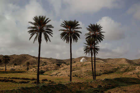 A zaouia stands near to troglodyte houses on the outskirts of Matmata, Tunisia, February 4, 2018. REUTERS/Zohra Bensemra