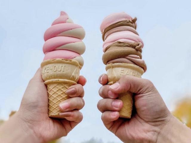 The Top 50 Ice Cream Shops In America Ranked According To Yelp Reviews