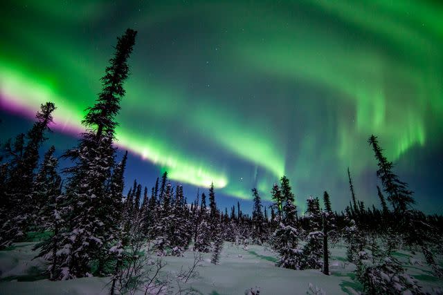 <p>Getty</p> The Aurora Borealis light up the sky over Denali National Park in Alaska.