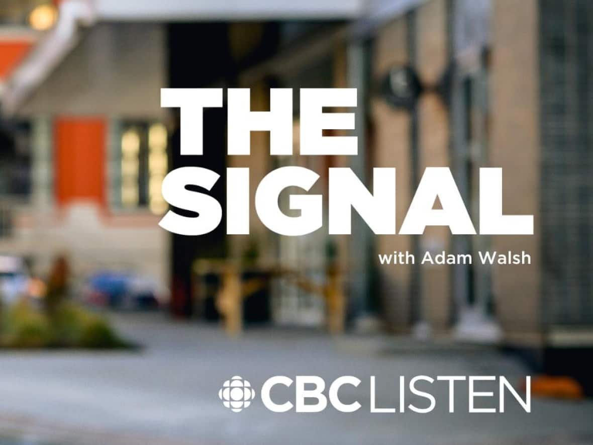 Adam Walsh is the host of CBC Newfoundland and Labrador's lunchtime radio program The Signal.  (Ritche Perez - image credit)