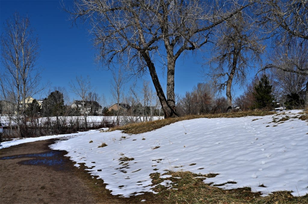 Westminster, Colorado via Getty Images/Gennady Zakharin