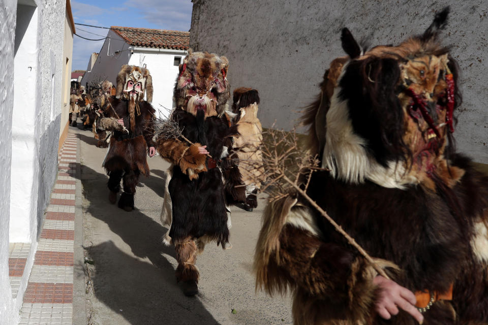 In this photo taken on Monday, Jan. 20, 2020, people in traditional costumes take part in the traditional "Las Carantonas" festival in Acehuche, Spain. The Carantonas involves men pulling on animal hides that make them look like Chewbacca. At the Carantoñas festival in Acehuche, men are helped to pull on hairy, bulky costumes and scary masks before they walk down streets of whitewashed houses looking like wild beasts ("carantoñas"). Women parade in colorful embroidered shawls and skirts as music plays. (AP Photo/Manu Fernandez)