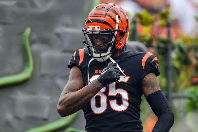 Cincinnati Bengals News: Reason for Panic at 0-2?