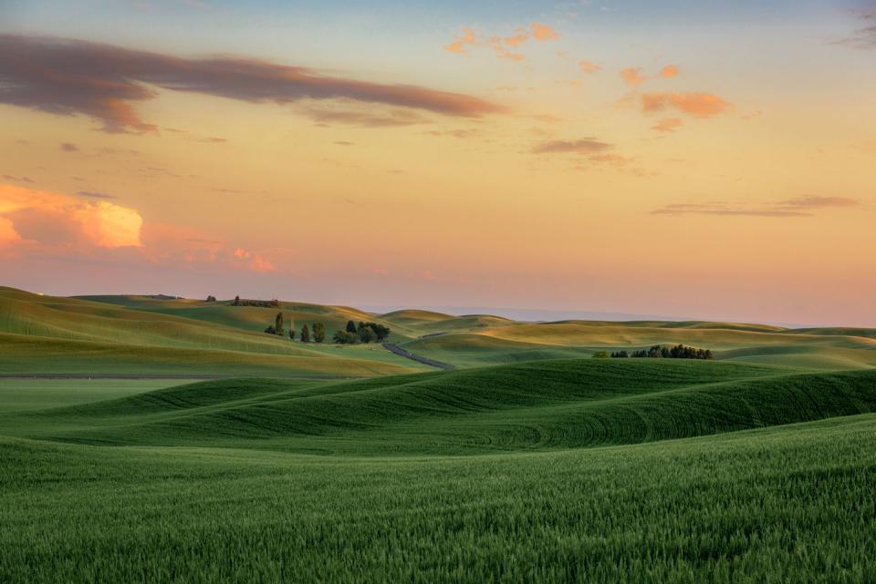 <p><strong>Where: </strong><a href="https://www.alisonmeyerphotography.com/page/palouse-tips" rel="nofollow noopener" target="_blank" data-ylk="slk:The Palouse;elm:context_link;itc:0;sec:content-canvas" class="link ">The Palouse</a><br><strong><br>Why We Love It: </strong>Located in Idaho, Washington, and Oregon, the Palouse is a lush area that features rolling hills. According to <a href="http://www.sevenwondersofwashingtonstate.com/the-palouse.html" rel="nofollow noopener" target="_blank" data-ylk="slk:The Seven Wonders of Washington State website;elm:context_link;itc:0;sec:content-canvas" class="link ">The Seven Wonders of Washington State website</a>, "The hills were formed over tens of thousands of years from wind blown dust and silt, called 'loess.'"</p>