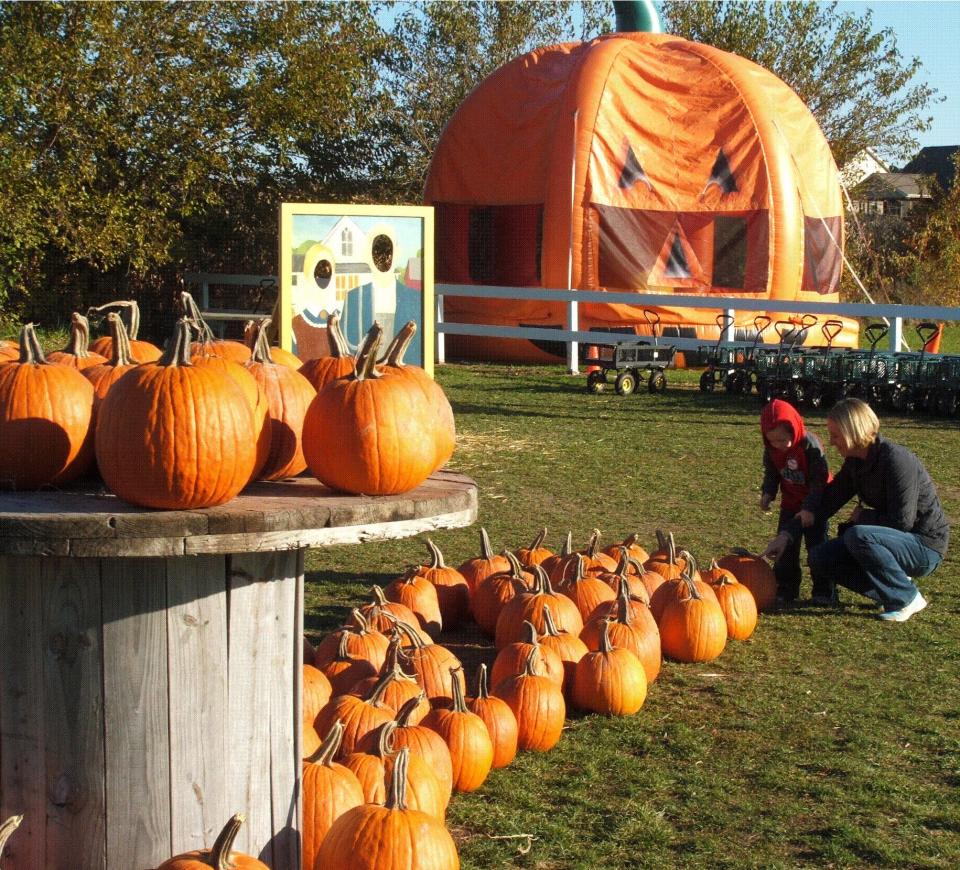 Orange attractions abound at Colony Pumpkin Patch, as Kim Anderson and son Connor of Shueyville found out this week.