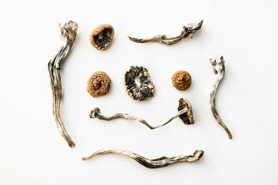 dried psychedelic magic mushrooms