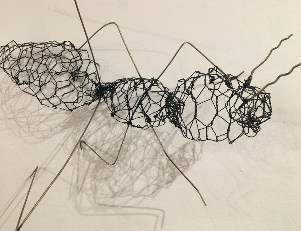 Ants by Christina Glaser