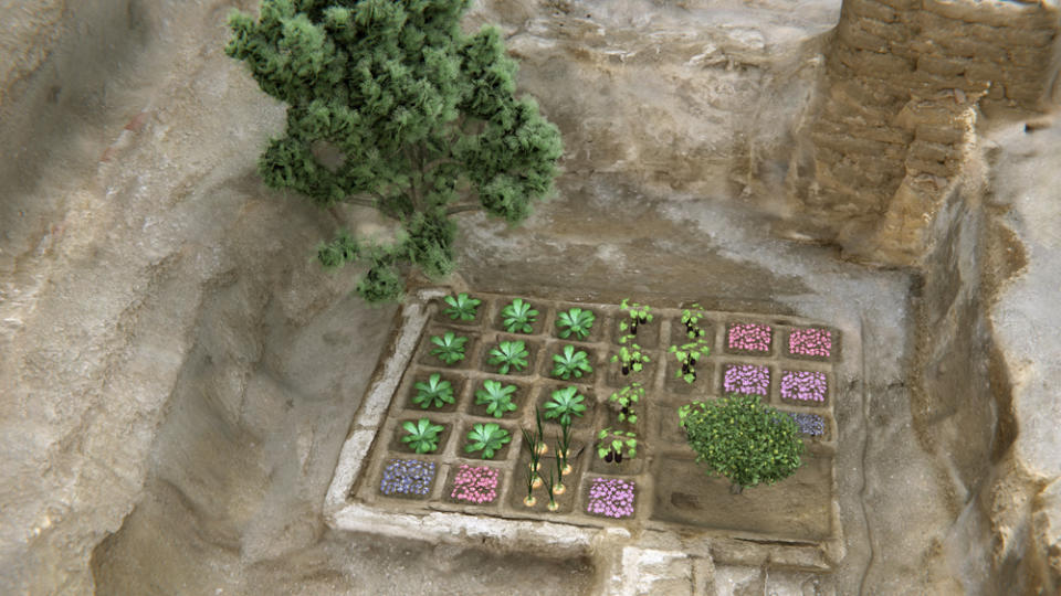 Ancient Funerary Garden Discovered in Egypt for First Time