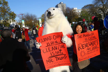 A protester dressed as a polar bear attends a demonstration under the banner "Protect the climate - stop coal" two days before the start of the COP 23 UN Climate Change Conference hosted by Fiji but held in Bonn, Germany November 4, 2017. REUTERS/Wolfgang Rattay