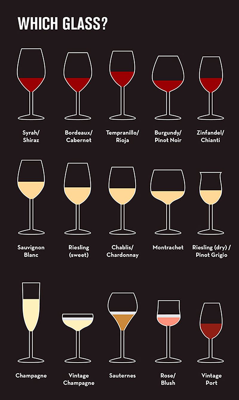 beginner's guide to wine Glasses