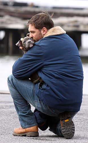 Exclusive 'The Drop' Photos: A Crime-Thriller Where Tom Hardy Snuggles With  a Puppy