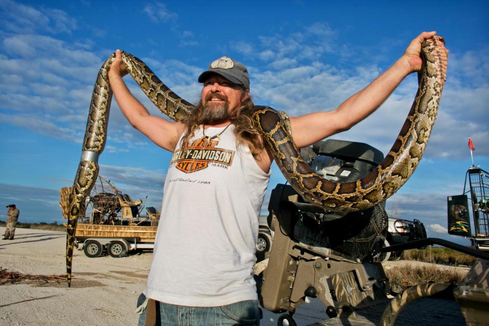 Dusty Crum, of Myakka City, Fla., holds up the 11-foot, 6-inch Burmese Python he and his hunting partners captured in the southern Everglades during the Python Challenge. Crum hates to kill the snakes, as the hunt's rules require. "It's not their fault people are irresponsible," he said.