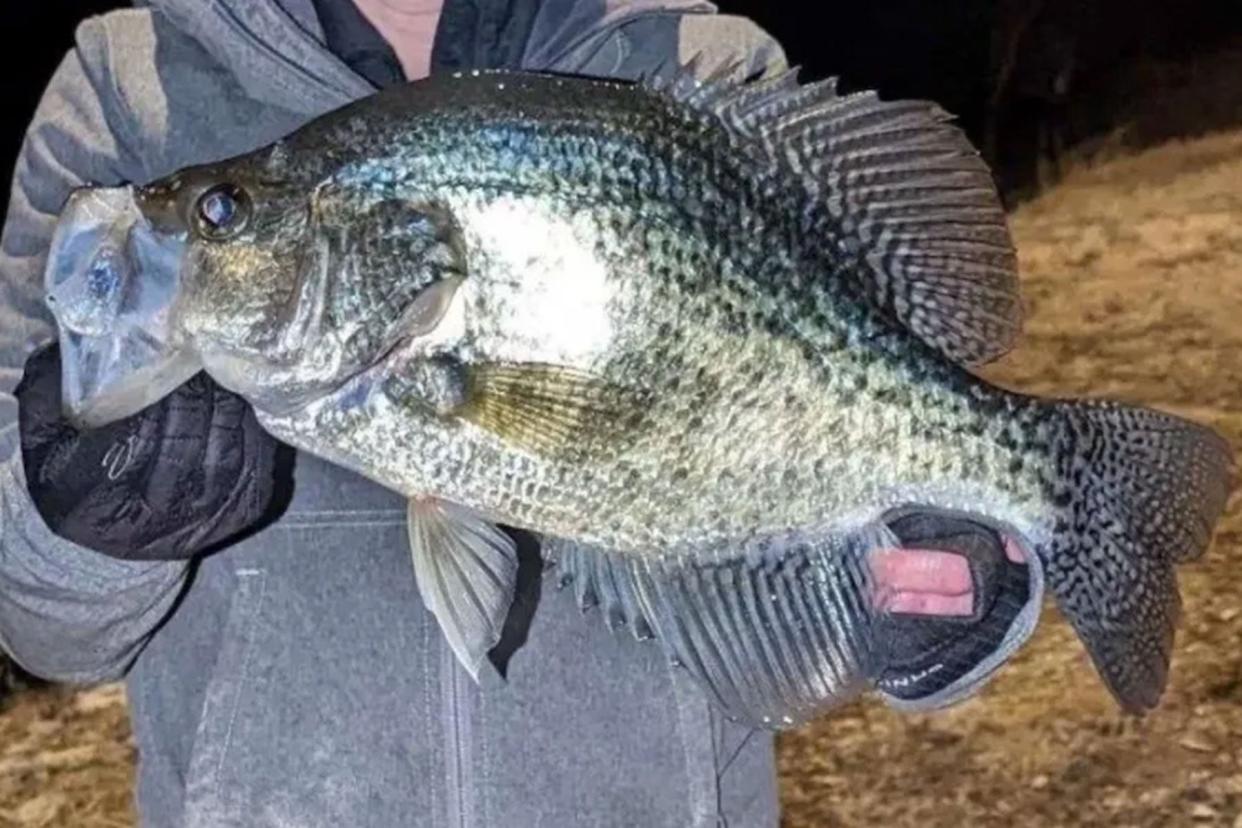 Angler poses with record-setting crappie in April 2023.