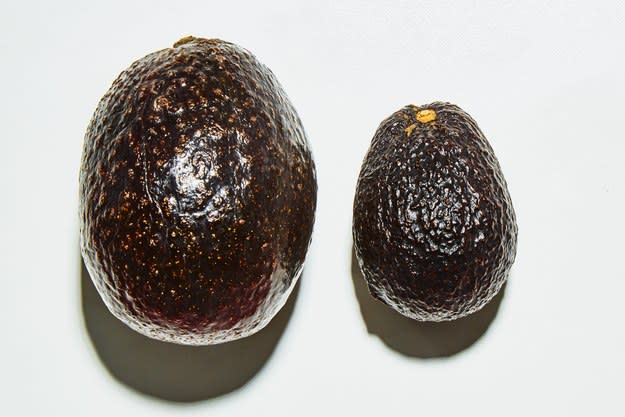 mini avocado