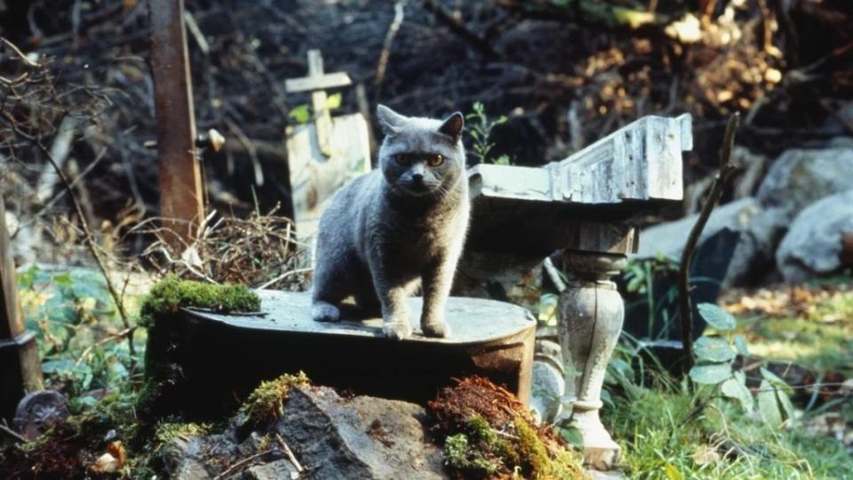 Pet Sematary