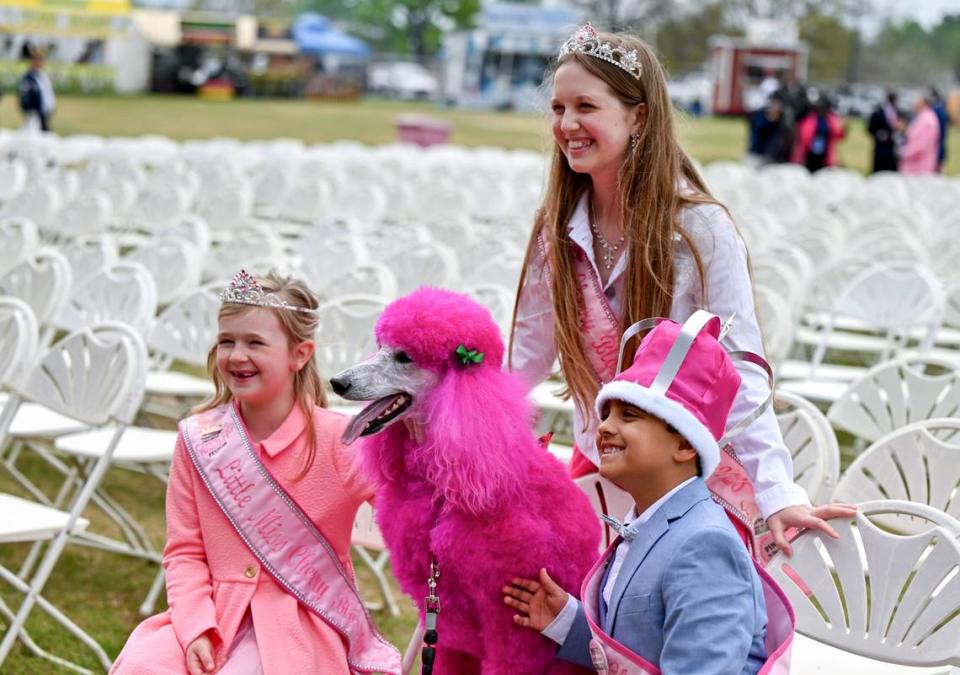 Members of the 2023 Cherry Blossom Royal Court pose for a picture with Cherry, the pink poodle after opening ceremonies for the Festival Friday at Carolyn Crayton Park.